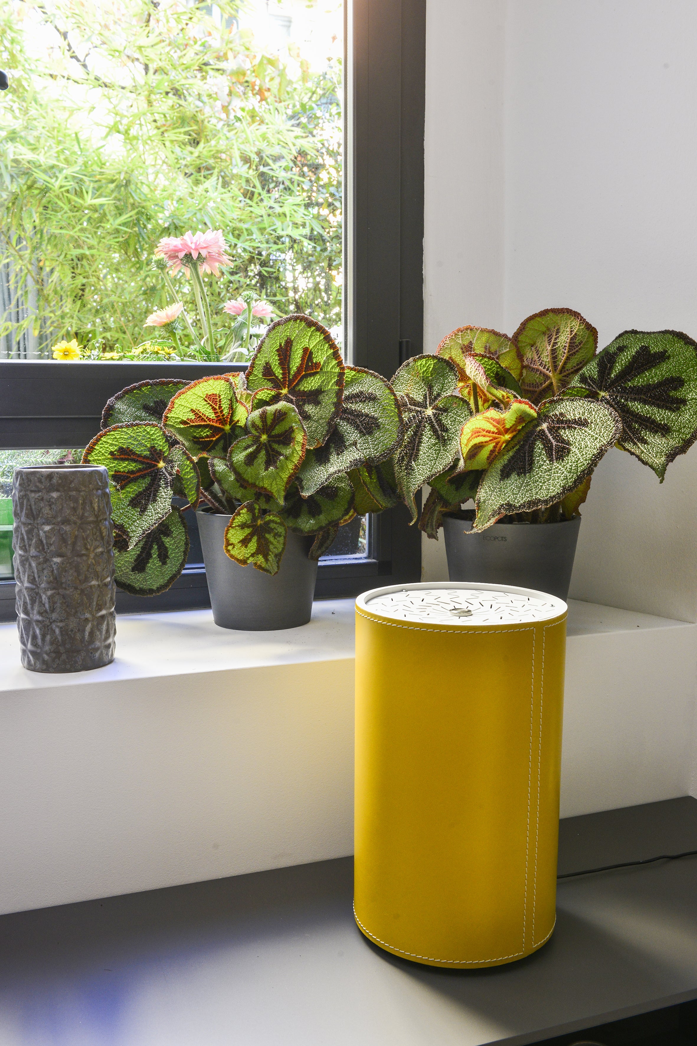 My Air Pure - Air purifier and Sanitizer with UV-C UV-A LED - Tuscan Leather